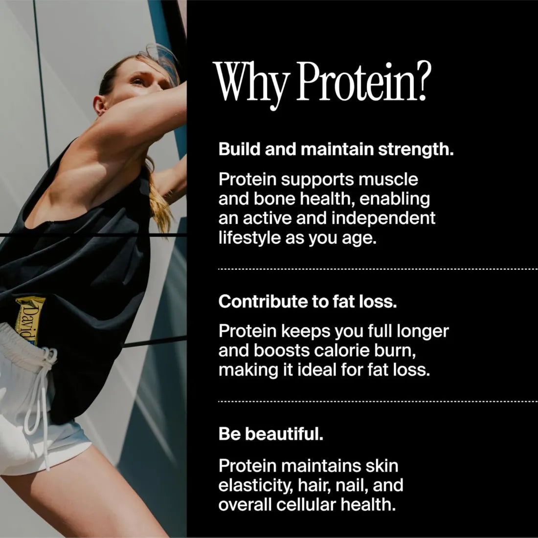 David, Protein Bar| 0g of Sugar - High Protein, Low Carb-12 PACK